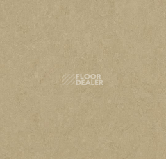Линолеум Forbo Marmoleum Marbled Fresco 3890-389035 oat фото 1 | FLOORDEALER